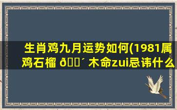 生肖鸡九月运势如何(1981属鸡石榴 🐴 木命zui
忌讳什么)